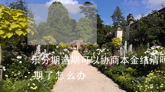 乐分期逾期可以协商本金结清吗-乐分期逾期了怎么办