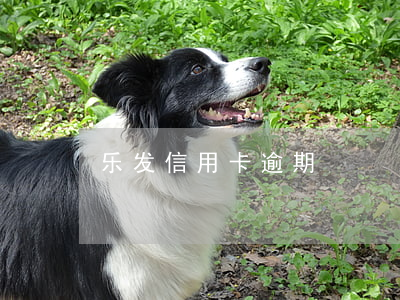 乐发信用卡逾期