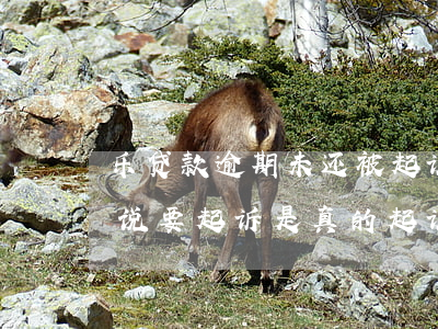 乐贷款逾期未还被起诉(分期乐借钱逾期了他说要起诉是真的起诉吗)