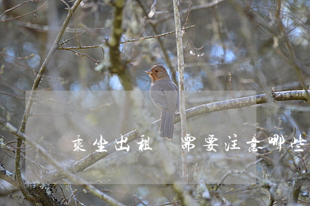 乘坐出租車需要注意哪些問題