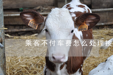 乘客不付车费怎么处理按法律怎么处理