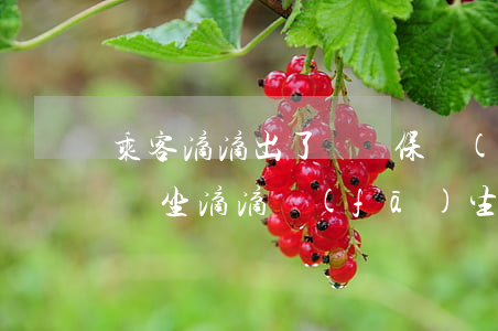 乘客滴滴出了車禍保險(xiǎn)賠多少錢(坐滴滴發(fā)生交通事故,乘客受傷,怎么賠)