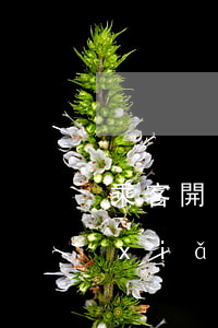 乘客開(kāi)門(mén)事故保險(xiǎn)怎么賠償(車上乘客開(kāi)門(mén)碰到人了 車險(xiǎn)怎么賠)