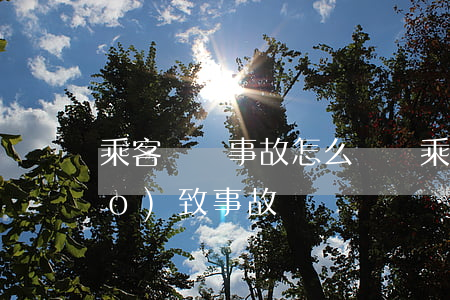 乘客開門事故怎么賠償(乘車人開門導(dǎo)致 事故)