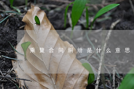 乘覽合同糾紛是什么意思