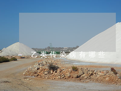 乙类传染病有哪些