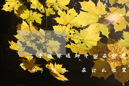 九亭法律援助中心在哪里(九亭律師事務(wù)所咨詢在什么位置)