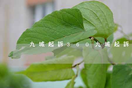 九城起訴360(九城起訴360)
