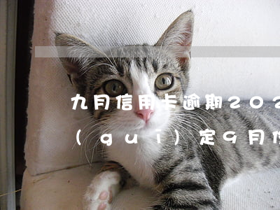 九月信用卡逾期(2020年信用卡逾期新規(guī)定9月份)