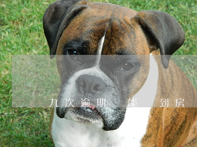 九次逾期還能貸到房貸嗎