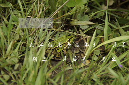 九江信用卡逾期3個月了 欠信用卡九千元逾期三個月后果會怎么樣