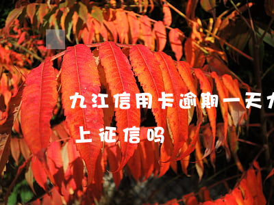 九江信用卡逾期一天(九江信用卡逾期一天会上征信吗)