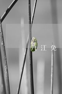 九江免費律師援助(九江律師事務所免費咨詢電話)