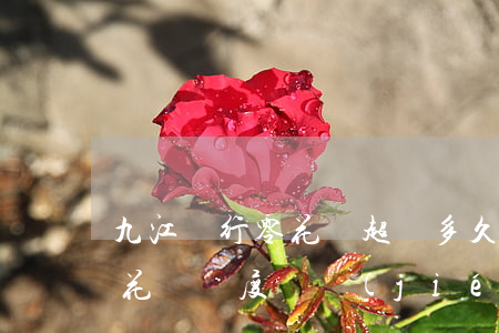 九江銀行零花錢超過多久算逾期(九江銀行零花錢額度凍結(jié))