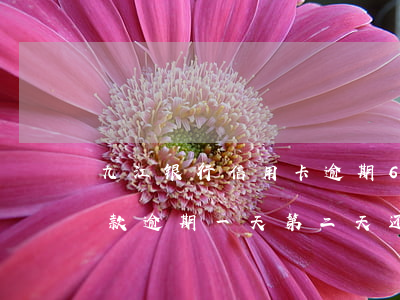 九江银行信用卡逾期6天会怎样(九江银行贷款逾期一天第二天还会扣吗)