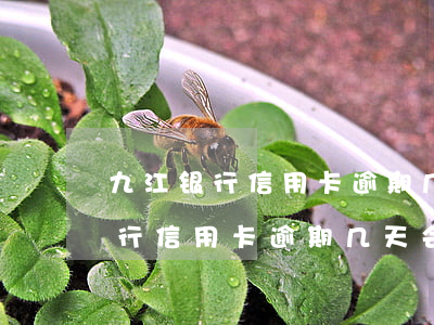 九江银行信用卡逾期几天会上征信-九江银行信用卡逾期几天会上征信报告
