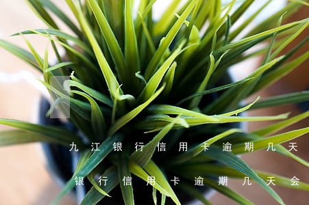 九江银行信用卡逾期几天会上征信吗-九江银行信用卡逾期几天会上征信吗知乎