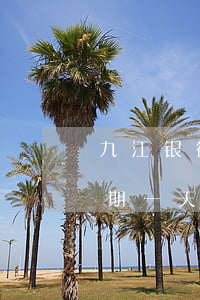 九江银行信用卡逾期多久上征信 九江银行逾期一天会不会上征信系统