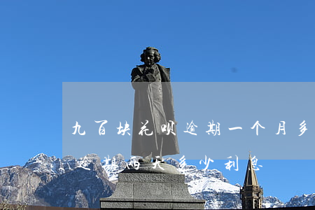 九百块花呗逾期一个月多少利息-9千花呗逾期两天多少利息