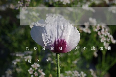 九秒貸逾期一天不讓還(網(wǎng)貸逾期9天)