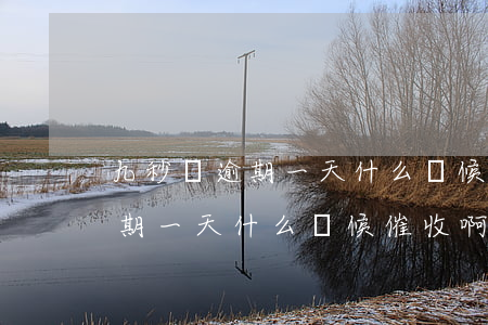 九秒貸逾期一天什么時候催收啊-九秒貸逾期一天什么時候催收啊