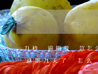 九秒貸逾期要還款怎么還(網(wǎng)貸逾期九天了會怎么樣)