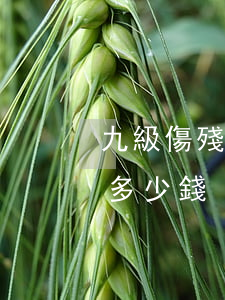 九級傷殘一共能賠多少錢(請問九級傷殘能賠多少錢)