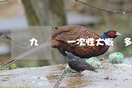 九級傷殘一次性大概賠多少錢