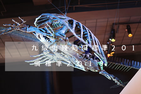 九級傷殘賠償標準2019(工傷九級傷殘賠償標準2019)