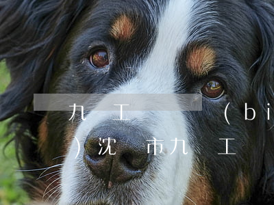 九級工傷賠償標(biāo)準(zhǔn)(沈陽市九級工傷賠償標(biāo)準(zhǔn))
