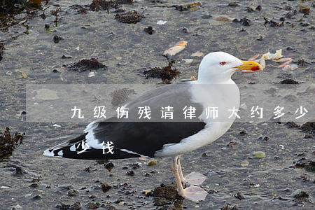 九级伤残请律师大约多少钱(九级伤残要赔多少钱)
