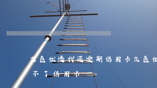 九色优选代还逾期信用卡(九色优选为什么还不了信用卡)