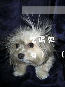乞丐欠網(wǎng)貸犯法(欠網(wǎng)絡(luò)貸款)