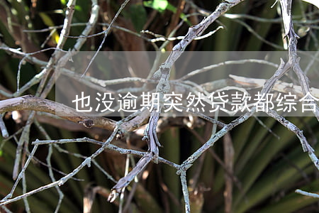 也没逾期突然贷款都综合评分不足