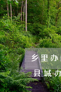 乡里办的结婚证可以在市里离婚吗(离婚证在县城办还是镇上)