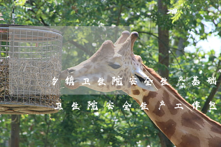 乡镇卫生院安全生产基础知识及法律法规(卫生院安全生产工作包括哪些内容)