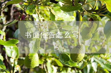 书面催告怎么写