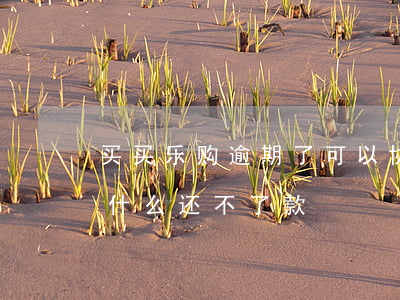 买买乐购逾期了可以协商还款吗(买买乐购为什么还不了款)