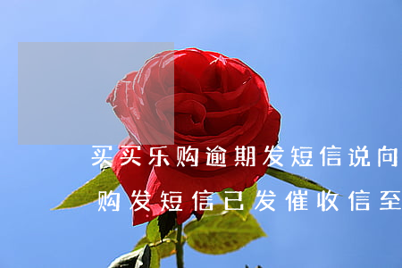 买买乐购逾期发短信说向法院起诉-买买乐购发短信已发催收信至当地户籍向法院提起诉讼