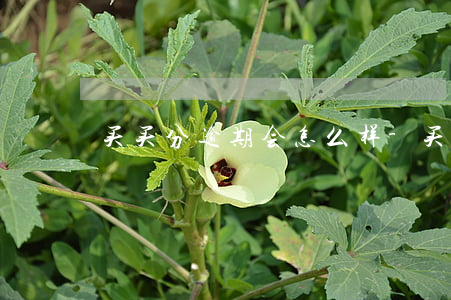买买分逾期会怎么样-买买分逾期一天