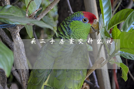 买二手房要交什么税