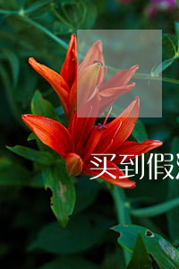 买到假酒向谁投诉（消费者权益的内容）