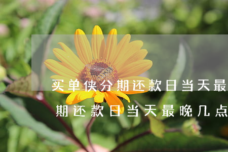买单侠分期还款日当天最晚几点-买单侠分期还款日当天最晚几点还款
