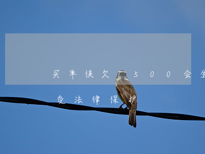 买单侠欠1500会坐牢吗(买单侠到底受不受法律保护)