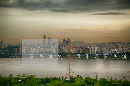 买单侠欠1万不还(买单侠不还款会怎么样)