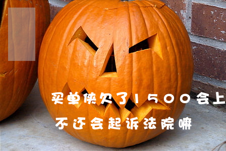 买单侠欠了1500会上法院吗(买单侠借款不还会起诉法院嘛)