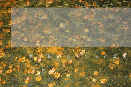 买单侠逾期3年未还款(买单侠借款不还有什么后果)