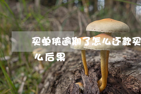 买单侠逾期了怎么还款(买单侠借款不还有什么后果)