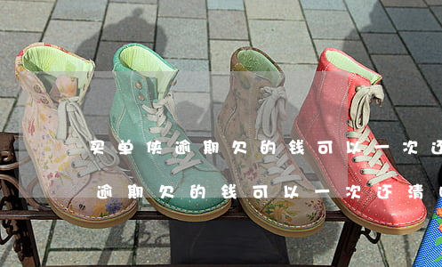 买单侠逾期欠的钱可以一次还清吗-买单侠逾期欠的钱可以一次还清吗