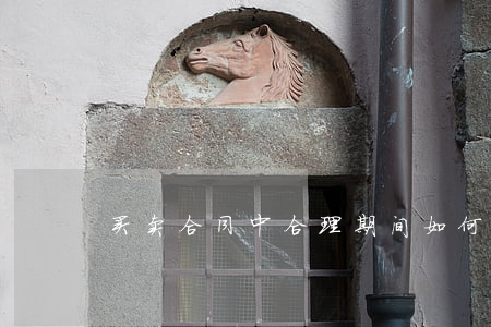 买卖合同中合理期间如何确定